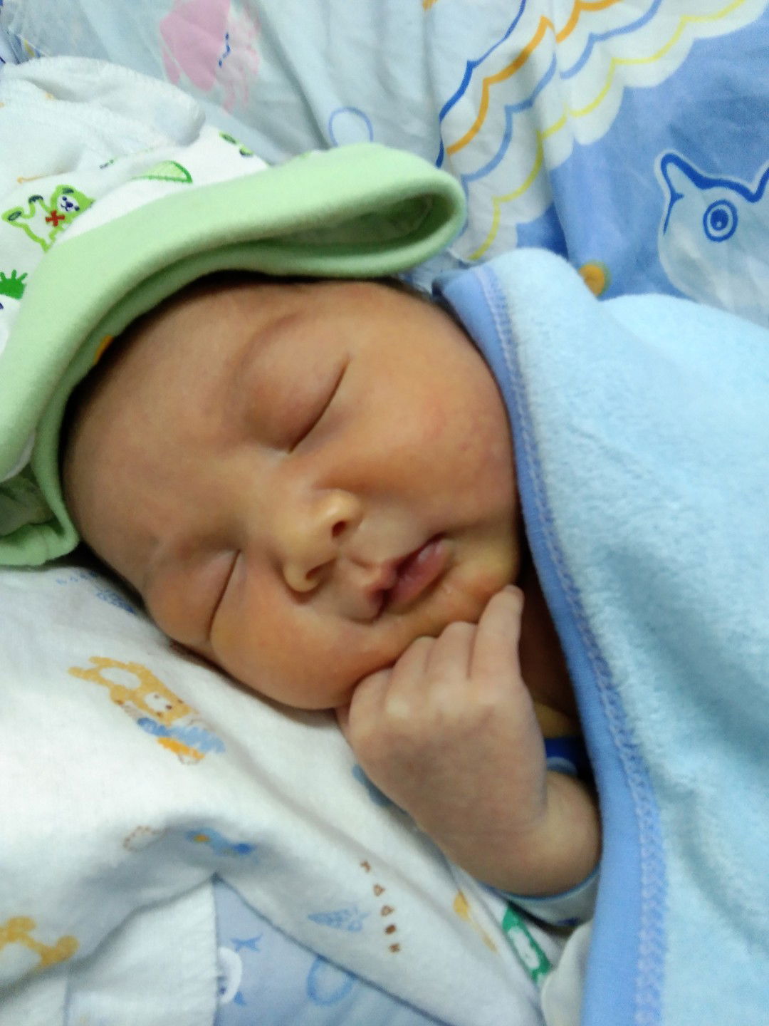 หลังจากที่เฝ้ามองลูกบ้านอื่นอยู่หลายเดือน