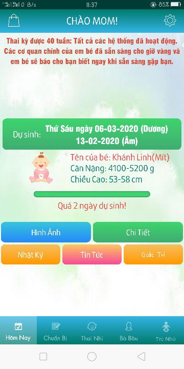 chuột t3