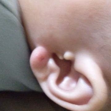 Lubang anting
