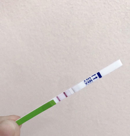 5 week