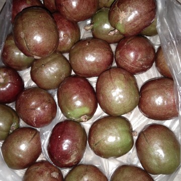 sarguelas