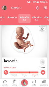 ยังไม่มีวี่แวว