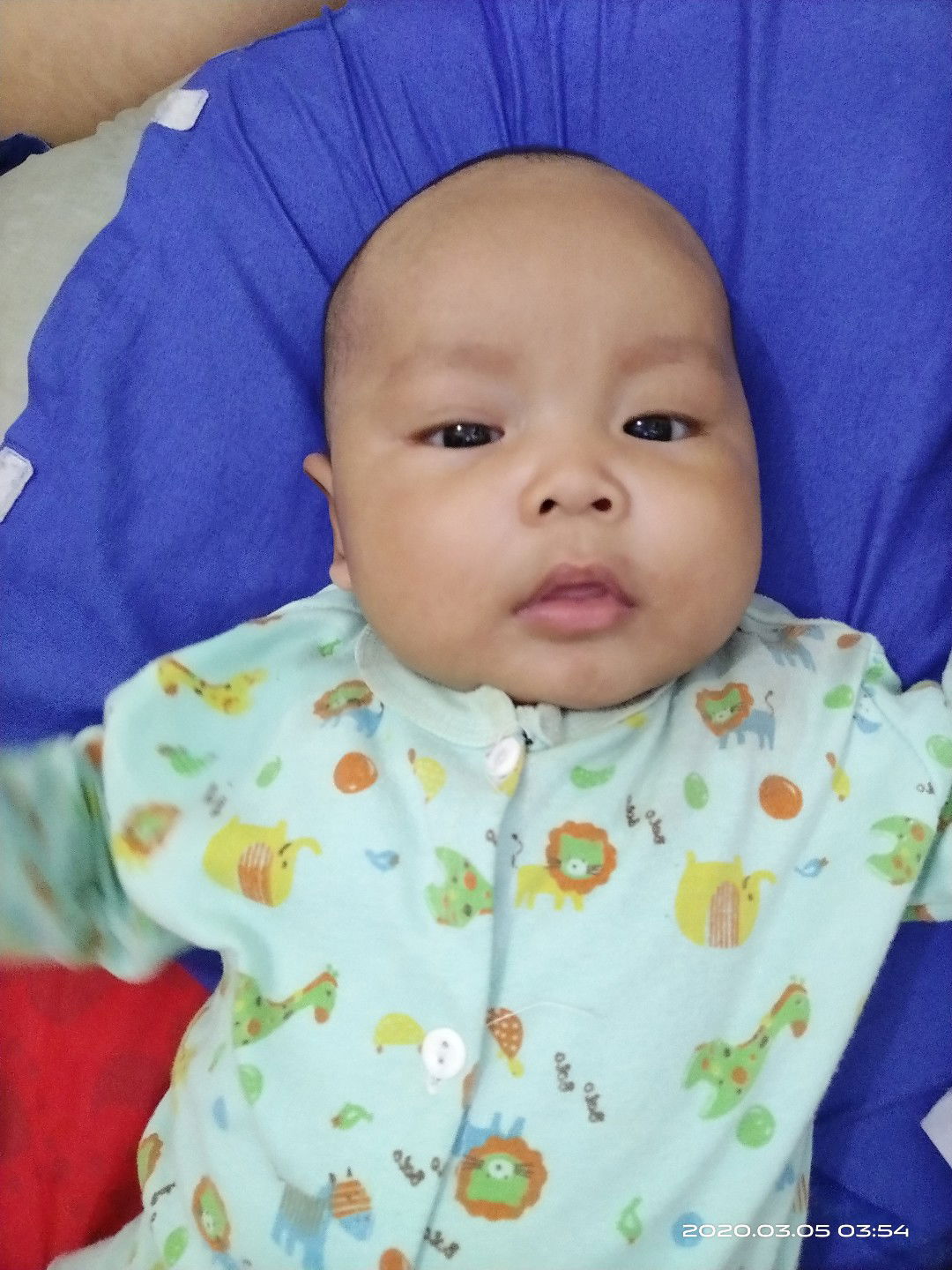 Baby gendut