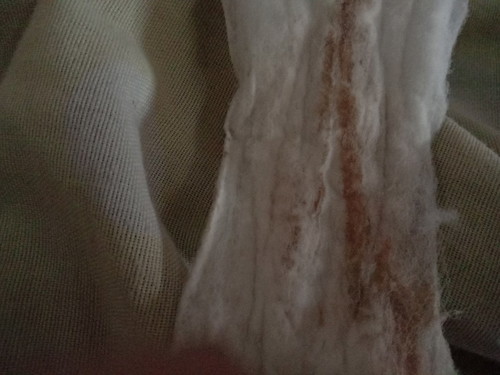 bleed