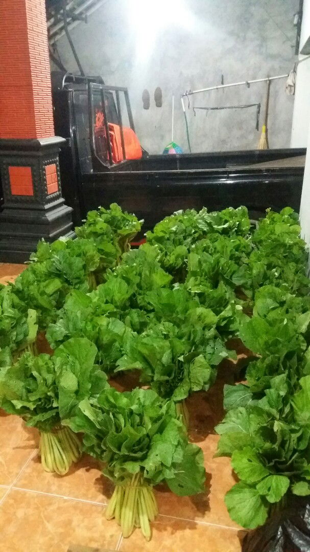 Ida Nur Khoirum profile icon