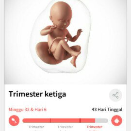 masuk 34week da?