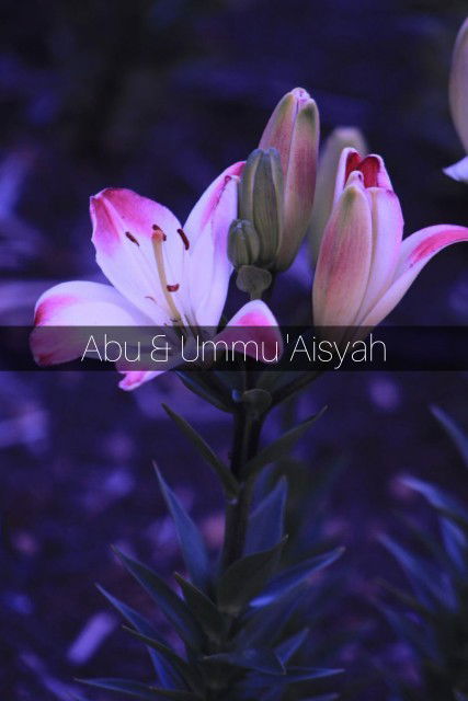 Ummu 'Aisyah profile icon