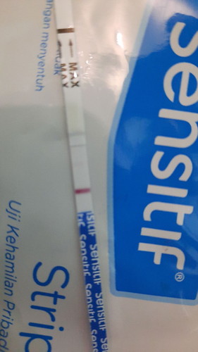 apakah saya positif hamil?