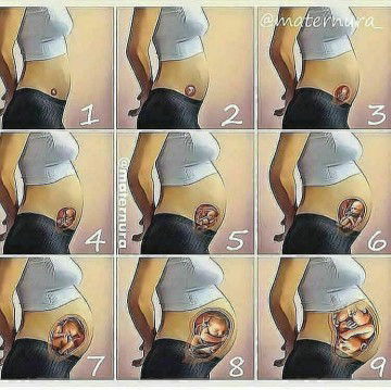 Mimi J&K profile icon