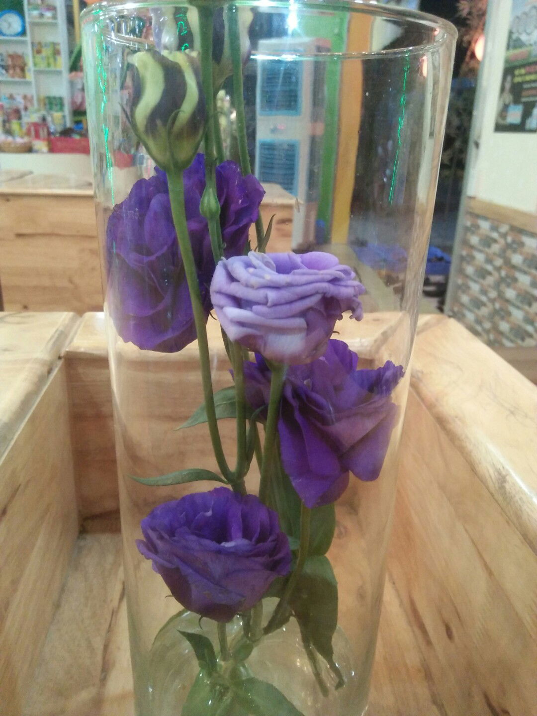 nguyen nhan profile icon