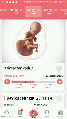 sudah terasa bergerak hebat diperut