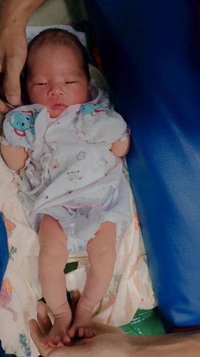 น้องใบเฟิร์น