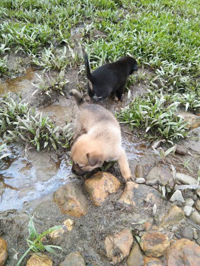 Lyannah Chom profile icon