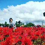 Zhafirha Liyana profile icon