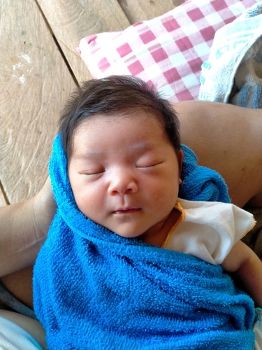 คลอดแล้วจ้า