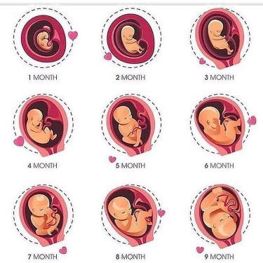 Ibu hamil profile icon