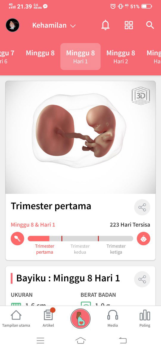 kehamilan