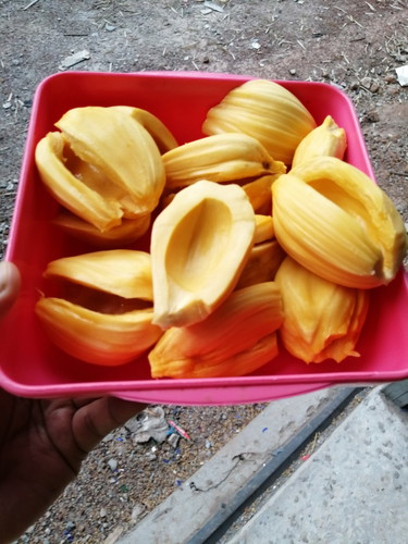 กินเยอะเป็นไรไหมคะ?