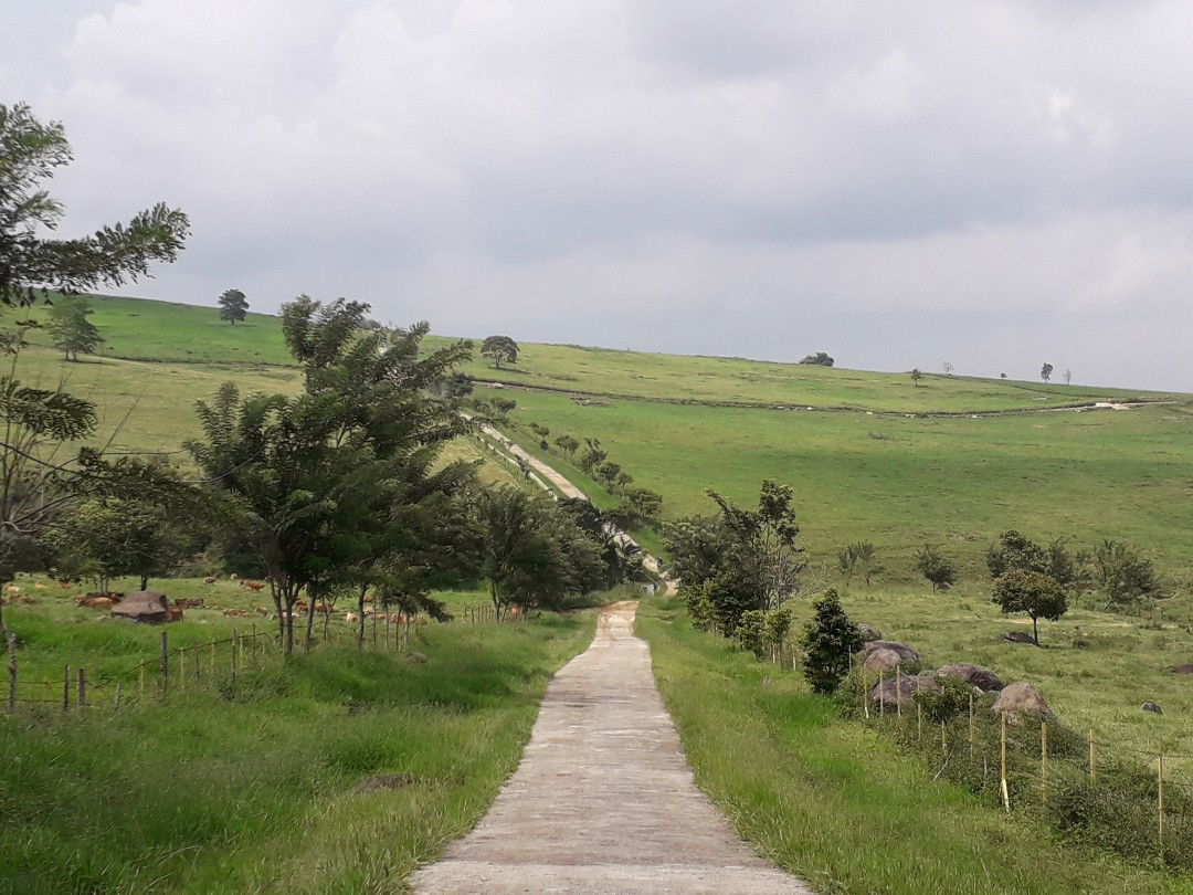 Aulianda Raficha Kotto profile icon