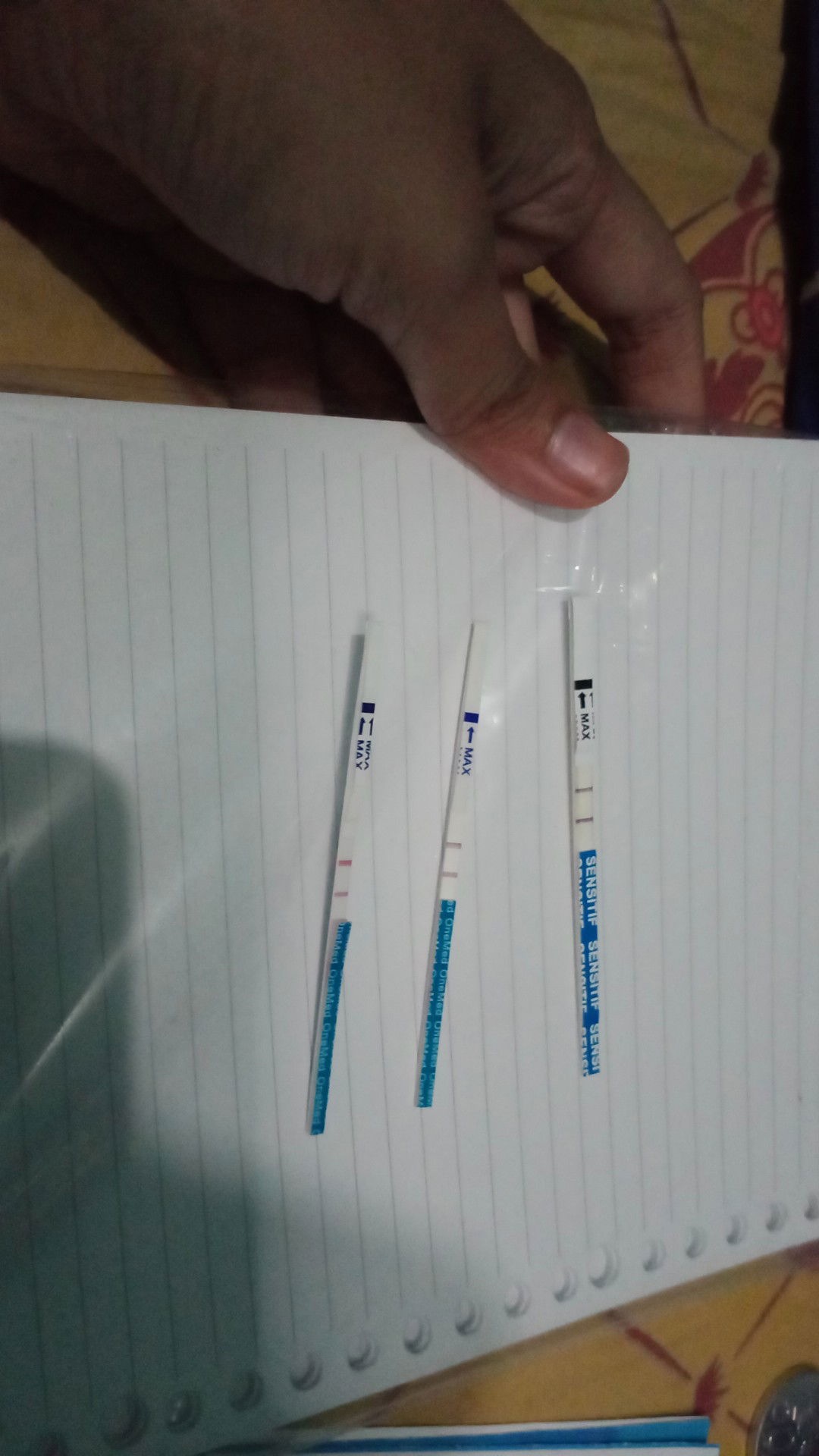 janin 6 minggu bun. apa detak nya udah ada ya bun ?