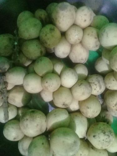 @rambutan & lansones from mindoro