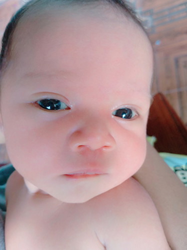 น้องชิโร??