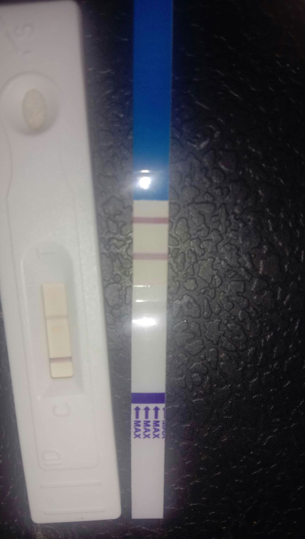 Gwen al profile icon