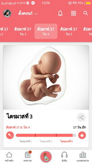 37week 4 d