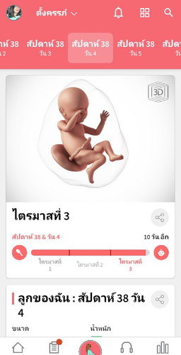 เจ้าหนูตัวน้อย