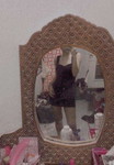 phannapat profile icon