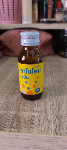 การตั้งครรภ์