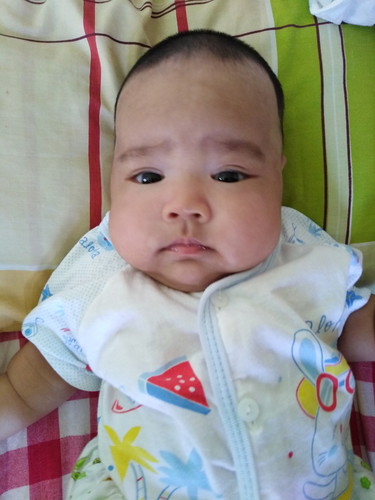 แพมเพิส