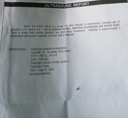 ultrasound report