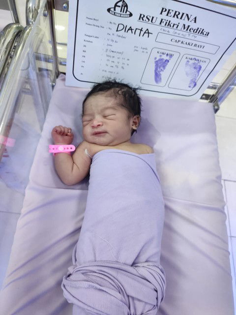 Diana Novianti profile icon