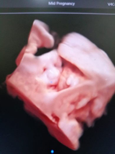 inesasmahani profile icon