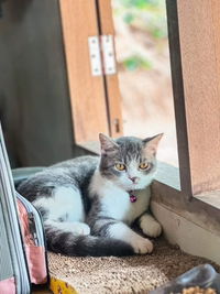 Nisachon Aomsin profile icon