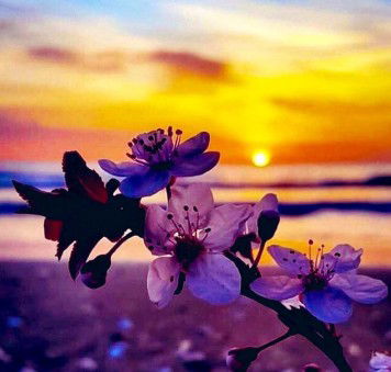 Lina Khoiriyah profile icon