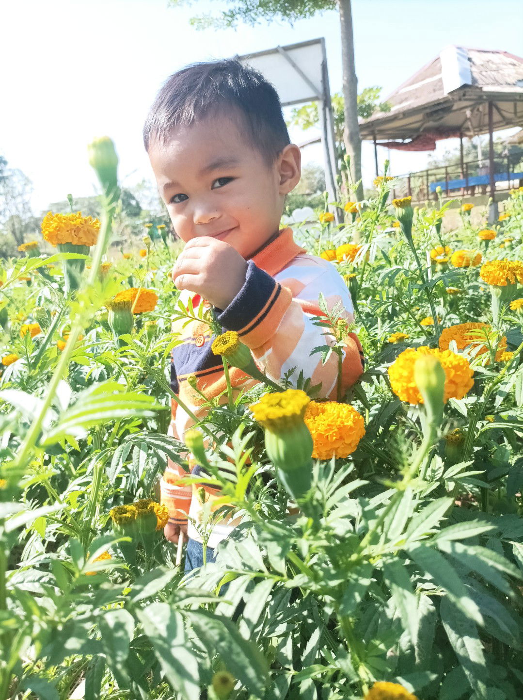 Anutida Lek profile icon