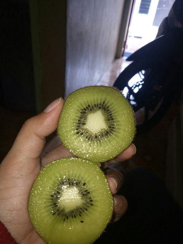 kiwi