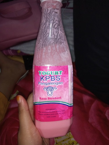 yogurt