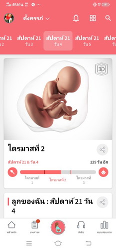 ไตรมาสที่2