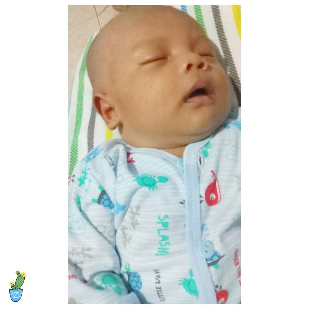 winda pratiwi profile icon