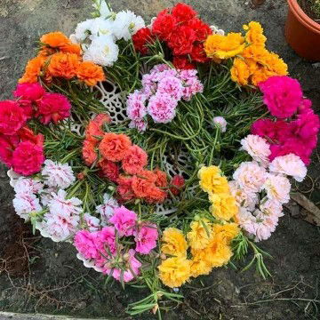 ilma millati profile icon