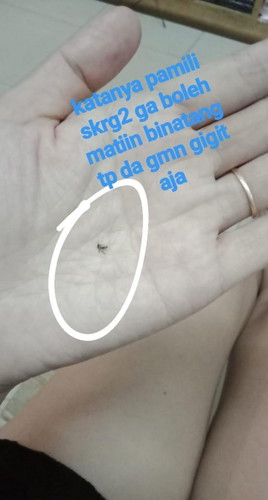 petuah mertua