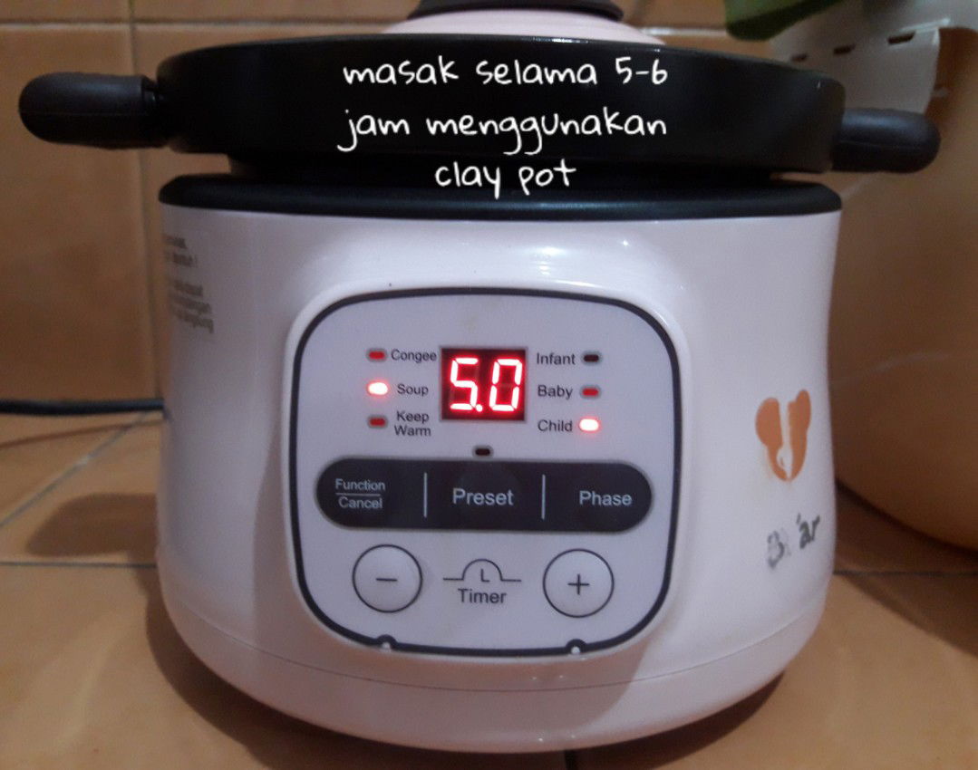 Slow Cooker Bear Electric
