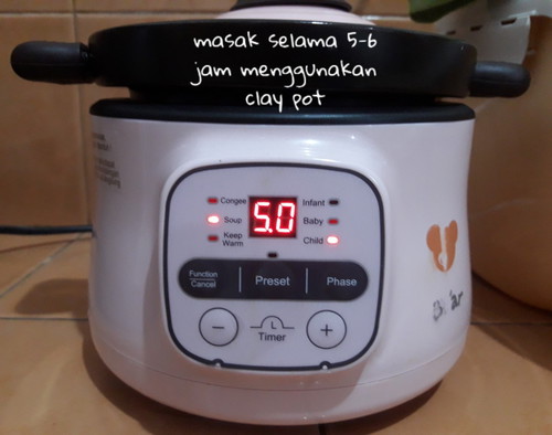 Slow Cooker Bear Electric