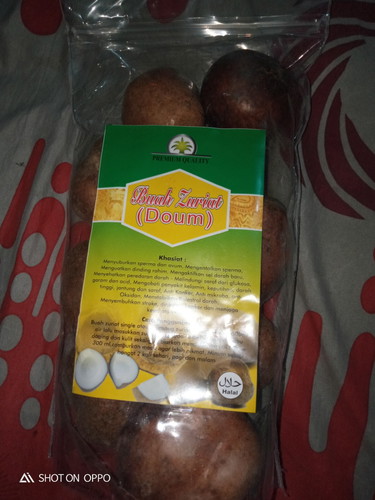 Buah zuriat