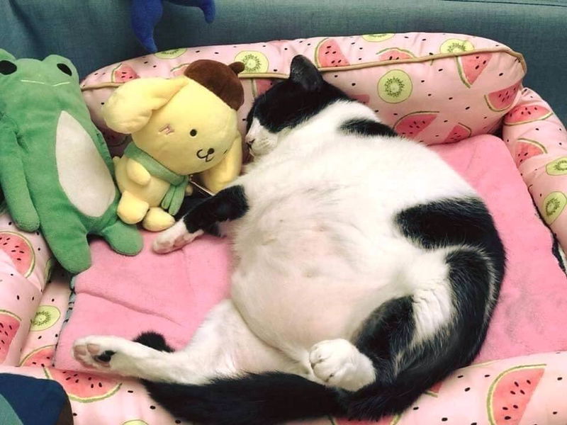 nrlsyfnm profile icon