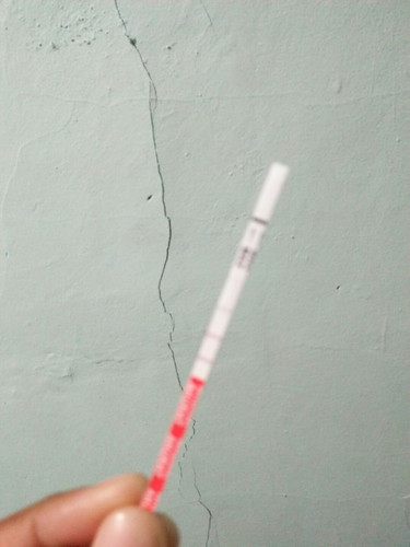 garis 2 d pagi hari