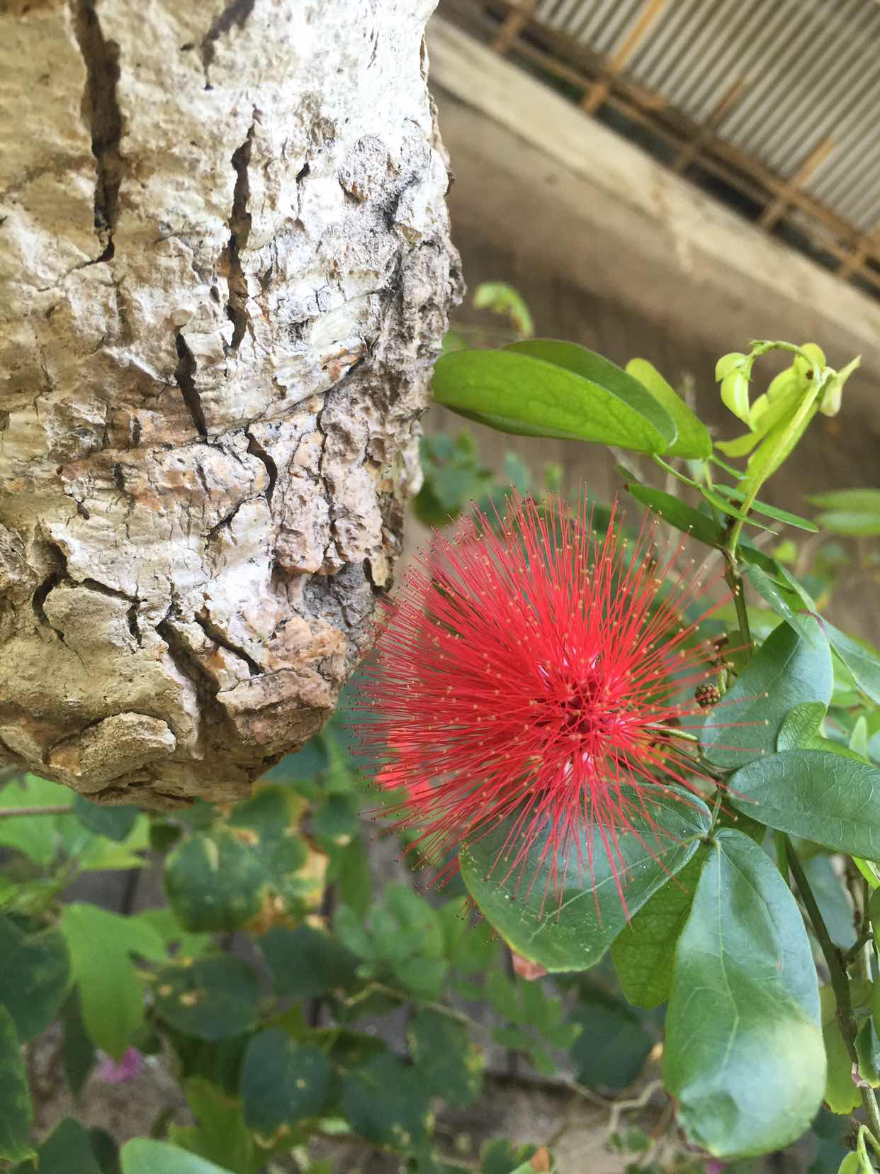 thảo nhi profile icon